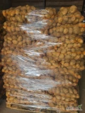 Sprzedam Ziemniaka żółtego soraya I czerowny  kaliber 4.5 plus ładny zdrowy ziemniak . Na stanie gotowych 17 palet soraya I 6 palet...