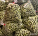 Sprzedam na dziś wieczór około 500 kg bobu, ładny, młody, zielony bachus.