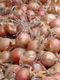 Cebula ŻÓŁTA NA WOREK I DO OBIERANIA, 60%-70%6+ Ilości tirowe, import, dostawa do klienta w całej Polsce. Co tydzień nowe oferty do...