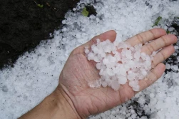 Jak zgłosić wystąpienie siły wyższej w gospodarstwie? ARiMR pomoże!
