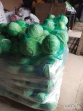 Sprzedam kapustę białą 1-3.5kg ilości paletowe