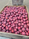 Sprzedam Red Delicious z mlodych drzewek 70+, oraz Prince 70+ jablka zerwane i schłodzone.  Zapraszam 