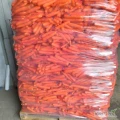 Sprzedam marchew młoda, kaliber handlowy, cena i opakowanie do uzgodnienia 
