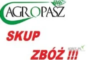 Kupie kukurydze mokrą z rękawa, bez badania wilgotności. Podstawię transport na terenie Polski. Cena do ustalenia. Szybkie terminy...