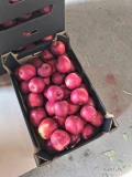 Witam sprzedam jabłko Prince nadwyżkę  w kartonie 13kg netto 8 euro palet 