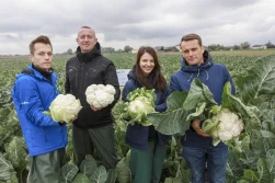 Warzywa dla przemysłu. Czy będzie większy popyt?
