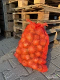 Sprzedam cebulę zimową piękna ładna dobrze doschnieta cienka Szyjka kaliber 5 plus big bag lub worek 15kg szyty