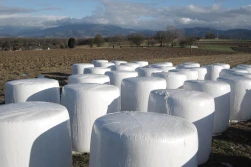 Niebawem rusza program usuwania folii rolniczych