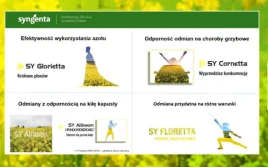 Syngenta: rzepak na każde wyzwanie!