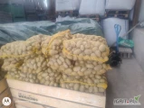 Sprzedam ziemniaki jadalne odmiana soraya Qanna.  8 zl za worek 15 kg . Czyste suche ładne.  Zapraszam.  
