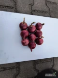 Sprzedam suchą, zdrową cebule czerwoną red baron 4-5,5 cm. dostępne około 3,5t. opakowanie dowolne