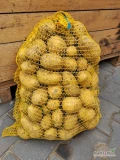 Sprzedam ziemniaki Soraya, cena I ilość do uzgodnienia. 