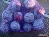 Sprzedam kapuste czerwona kaliber 1.5-3kg super jakość bez robaka ilość paletowe. Ok 10ton szykowana na zamówicenenie faktora VAT. Cena...