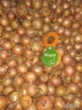 Sprzedam cebule hybell sucha zdrowa wentylowana o  kal.4.5-7+. Jakość marketowa.