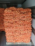Kupie cebule żolta kal.50-80 pakowana w worki po10kg ilości paletowe