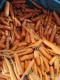 Sprzedam odsort młodej marchwi po szczotkarce. Luzem, możliwość sypania w bigbag lub zworkowania w worki 20. Duże ilości