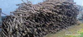 Sprzedam drewno opałowe jabłoniowe, sezonowane. Okolice Sandomierza.