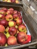 SPRZEDAM JABŁKA: LIGOL 85+, EMPIRE 70+, CHAMPION 85+, RED CHIEF 80+ NA RYNEK KRAJOWY.
