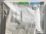Romanica F1(j.100 000n, kal.1.2-.1.4, B-mox,podkiełek) nasiona pietruszki firmy Bejo oferuje GEPWEG dystrybutor nasion. Dostawa gratis....
