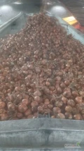 Cebula CZERWONA NA WOREK I DO OBIERANIA, 60%6+ Ilości tirowe, import, dostawa do klienta w całej Polsce. Co tydzień nowe oferty do...