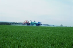 Zabieg T1 w zbożach