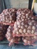Sprzedam ziemniaki gala pakowane w worki 15 kg kaliber 45+ duże ilości 
