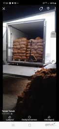 Ziemniaki jadalne Lilly, do 500 sztuk jednorazowo,  8zł/woreczek 15kg,  Chełmno,  kujawsko-pomorskie,  tel. 6'6'3...
