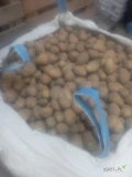 Sprzedam piękne ziemniaki odmiany soraya, czyste z jasnej ziemi. Nie sortowane, opakowanie big bag ilości torowe. 30gr/kg