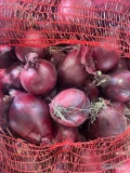 Cebula czerwona worek 10 kg