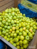 Sprzedam goldena. Przewidywana ilość 40 skrzyń. Jabłko czyste, bez ordzawien.