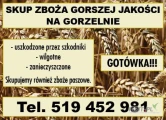 Kupięzboże gorszej jakości. Gotówka.