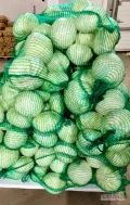 Sprzedam kapustę odmiana Zenon, bardzo dobrej jakości, świetnie nadaje się do kiszenia i na bieżąc rynek, wielkość głowy od 2-5...