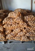 Ziemniaki jadalne Lilly,  żółte,  czyste,  najchętniej ilości busowe, Chełmno,  kujawsko-pomorskie,  tel. 6'6'3...