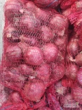 Cebula czerwona kaliber 5-9 Worek 5 kg.