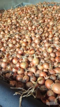 Sprzedam cebulę zolta czerwona kaliber 5+ worek szyty lub bb 