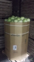 Sprzedam kapustę białą kaliber 1-4 opakowanie karton box ilości tirowe 
