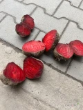 Sprzedam buraka czerwonego na przymysł/ obieranie. Tylko luzem, 2 tony.
