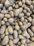 Sprzedam ziemniaki jadalne odmiana QA oraz Soraya 5+, worek 15 kg szyty, szczotkowane, dostępne 400 ton, ładne zdrowe, z...