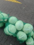 Witam sprzedam kapustę białą Ambrosia czysta ładna dobrze zbita  główki do 8kg  bez robaka. Możliwość uszykowania większej...