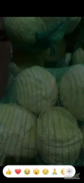 Sprzedam ilości tirowe kapusty białej w workach kaliber 1,5-4 kg