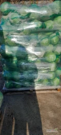 sprzedam kapustę białą kal 1-4 towar  marketowy opakowanie karton box  worek 20kg  