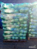 sprzedam kapuste białą towar marketowy kal 1-3- 1-4 opakowanie  box karton ew worek 20 kg po tonie na palecie cena box 2.30 worek 2.50...