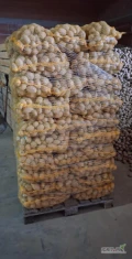 Sprzedam ziemniaki odmiana Soraya kaliber +45 ilosci paletowe, worek wiązany 15 kg. Możliwość wystawienia faktury VAT. 