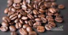 KUPIE KAZDE ILOSCI KAWY i KAKAO.  Ziarno Arabica oraz Robusta kazda odmiana.  Kraje pochodzenia Brazylia, Wietnam, Uganda, Kolumbia,...