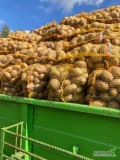 Sprzedam ziemniaki jadalne, każde ilości Sieradz 