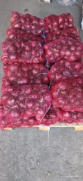 Cebula czerwona 5+ worek hurt i detal 