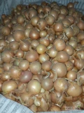 Sprzedam cebulę w big bag zdrowa sucha czysta 