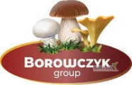 Producent grzybów Firma Borowczyk sprzeda Eryngi (boczniak mikołakowy).