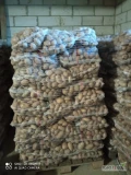 Posiadam do sprzedania gotowe 14 palet po 70 worków ziemniaków Catania cena 17 zł worek więcej informacji pod nr tel 604145182