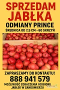 SPRZEDAM JABŁKA ODMIANY PRINCE – 60 skrzyń, cena 1zł za wagę w skrzyni